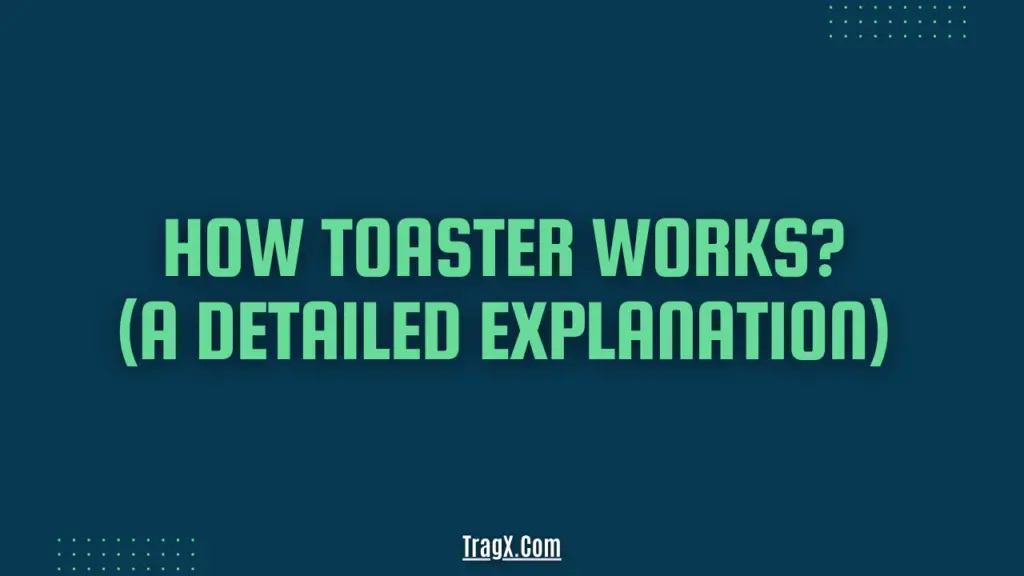 How Toaster Works? (A Detailed Explanation) TragX