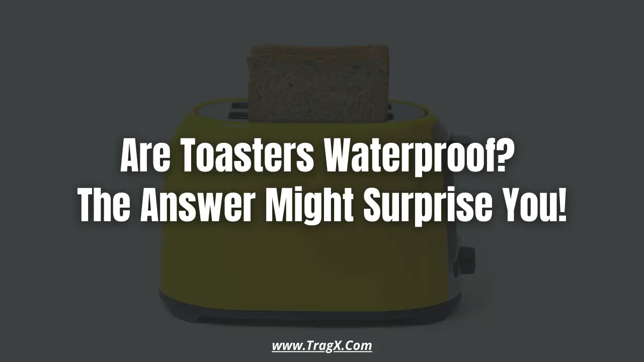 are you a toaster