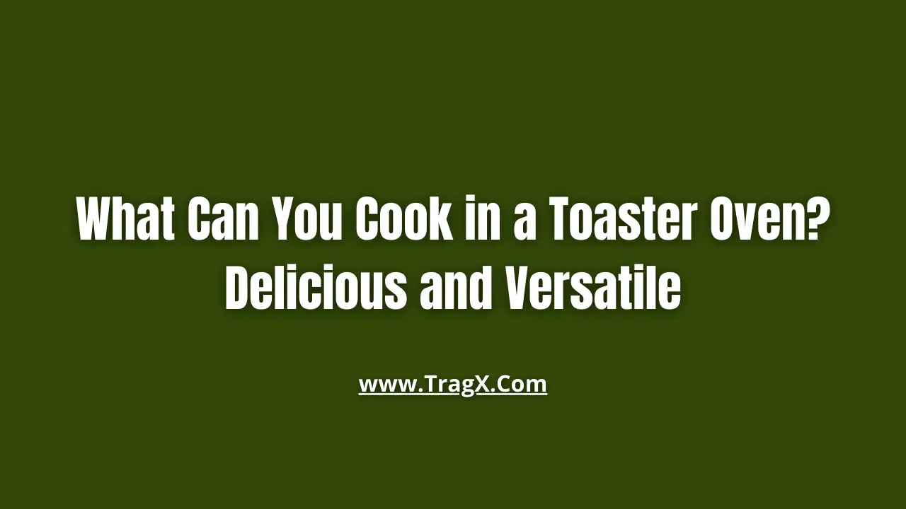 Toaster oven dishes
